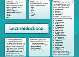 Secureblackbox Vcl